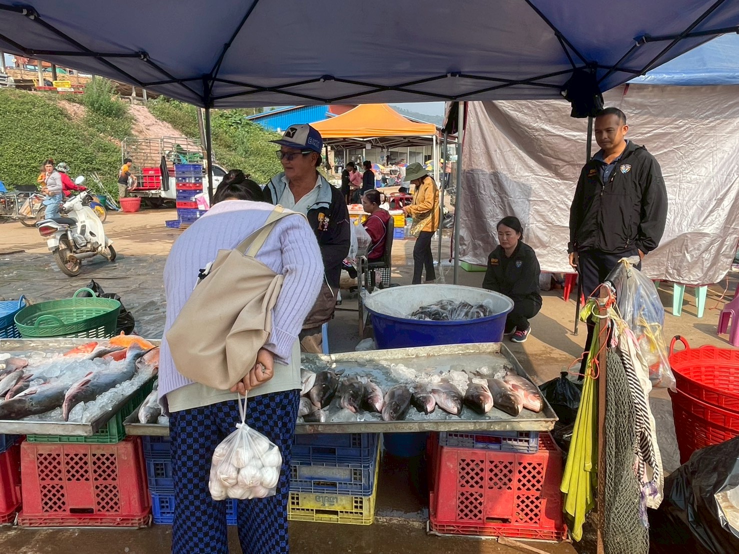 เจ้าหน้าที่ศูนย์บริหารจัดการด่านตรวจประมงเขต 1 (เชียงราย) ปฏิบัติงานตรวจป้องกันการลักลอบนำเข้า ส่งออก สินค้าสัตว์น้ำ ณ จุดผ่านแดนถาวรและจุดผ่อนปรนในพื้นที่อำเภอเชียงของ อำเภอเวียงแก่น และอำเภอแม่สาย จังหวัดเชียงราย..คลิก