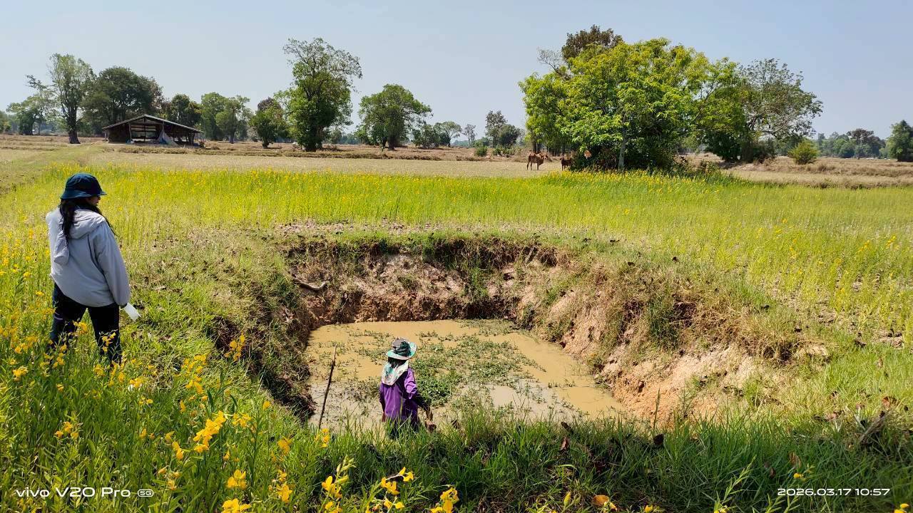 ข่าวประชาสัมพันธ์ประจำวันที่ 16 - 17มีนาคม 2569 ศูนย์วิจัยและพัฒนาการเพาะเลี้ยงสัตว์น้ำจืดศรีสะเกษ ฉบับที่ 41