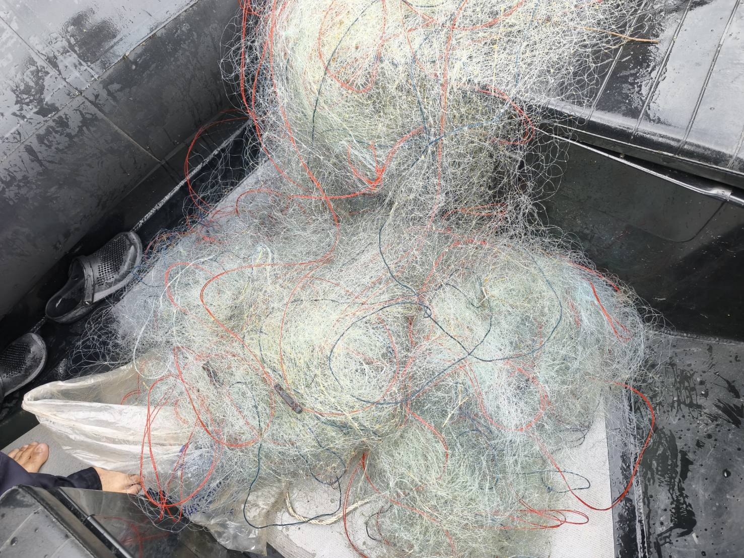 รูป ประกอบบทความ8