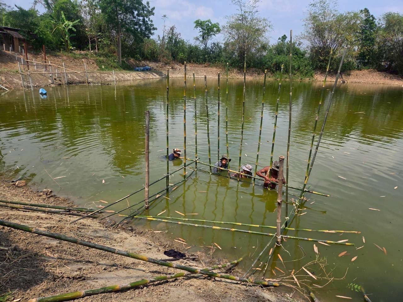 รูป ประกอบบทความ4