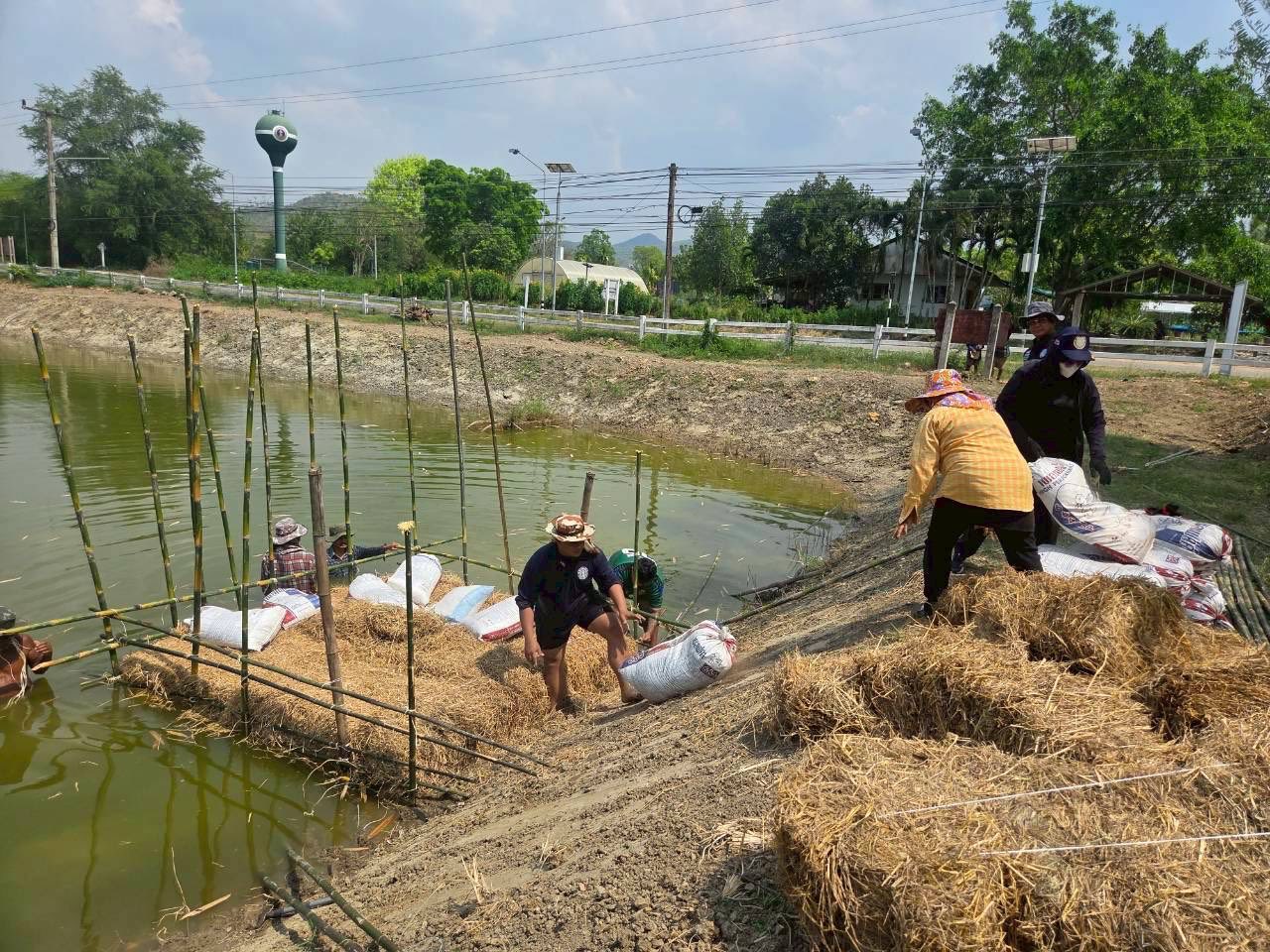 รูป ประกอบบทความ19