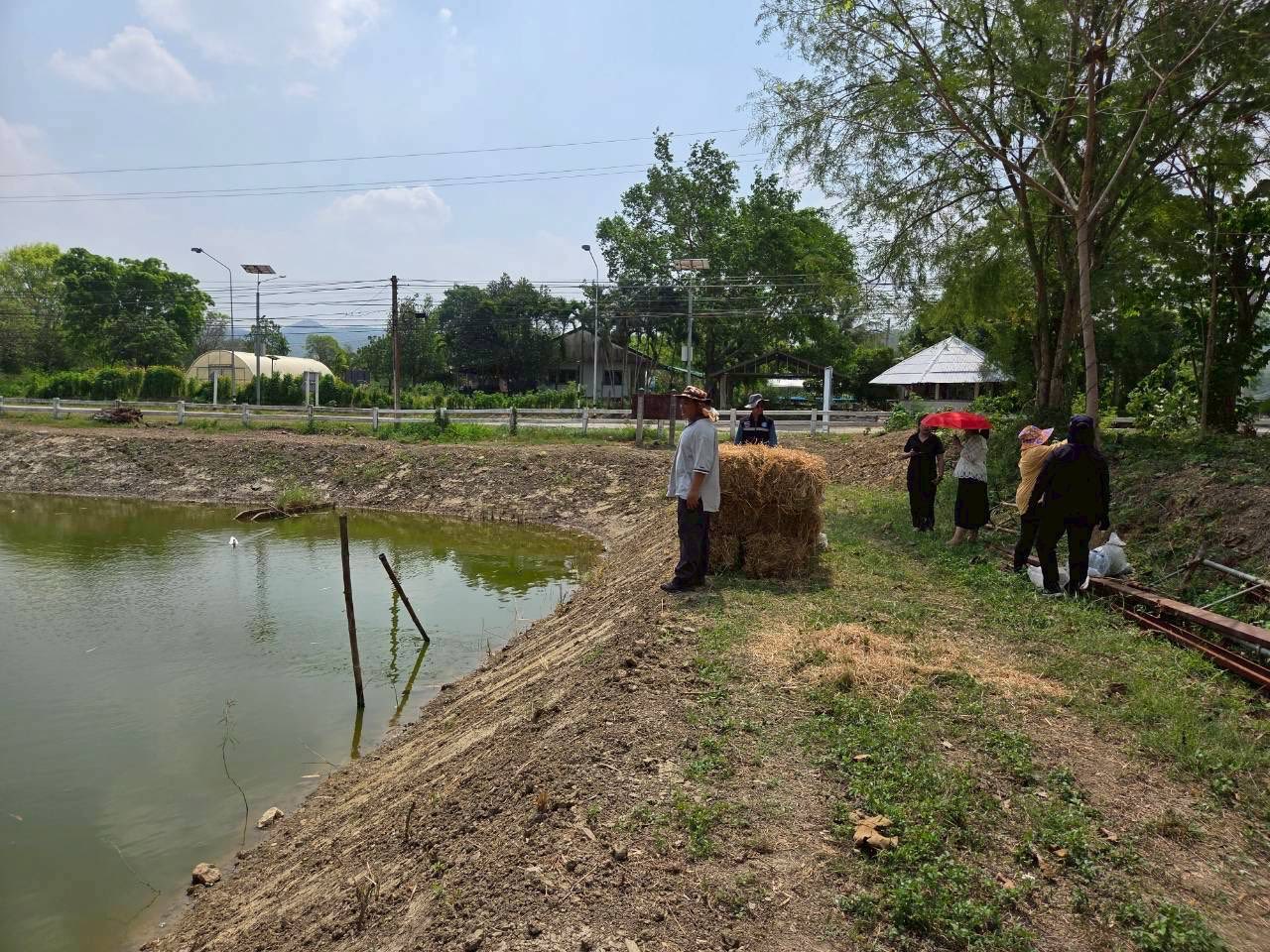 รูป ประกอบบทความ14