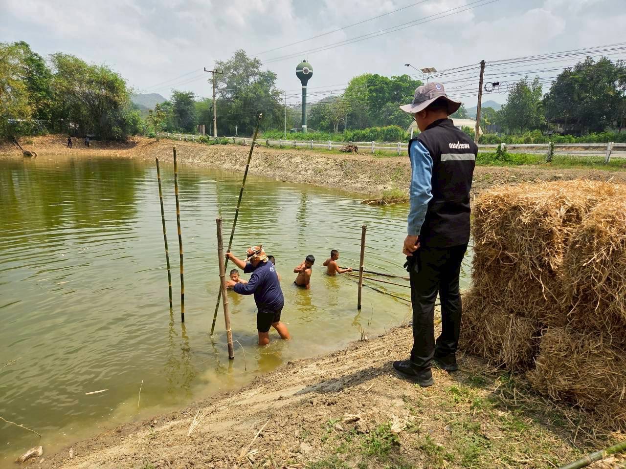 รูป ประกอบบทความ8