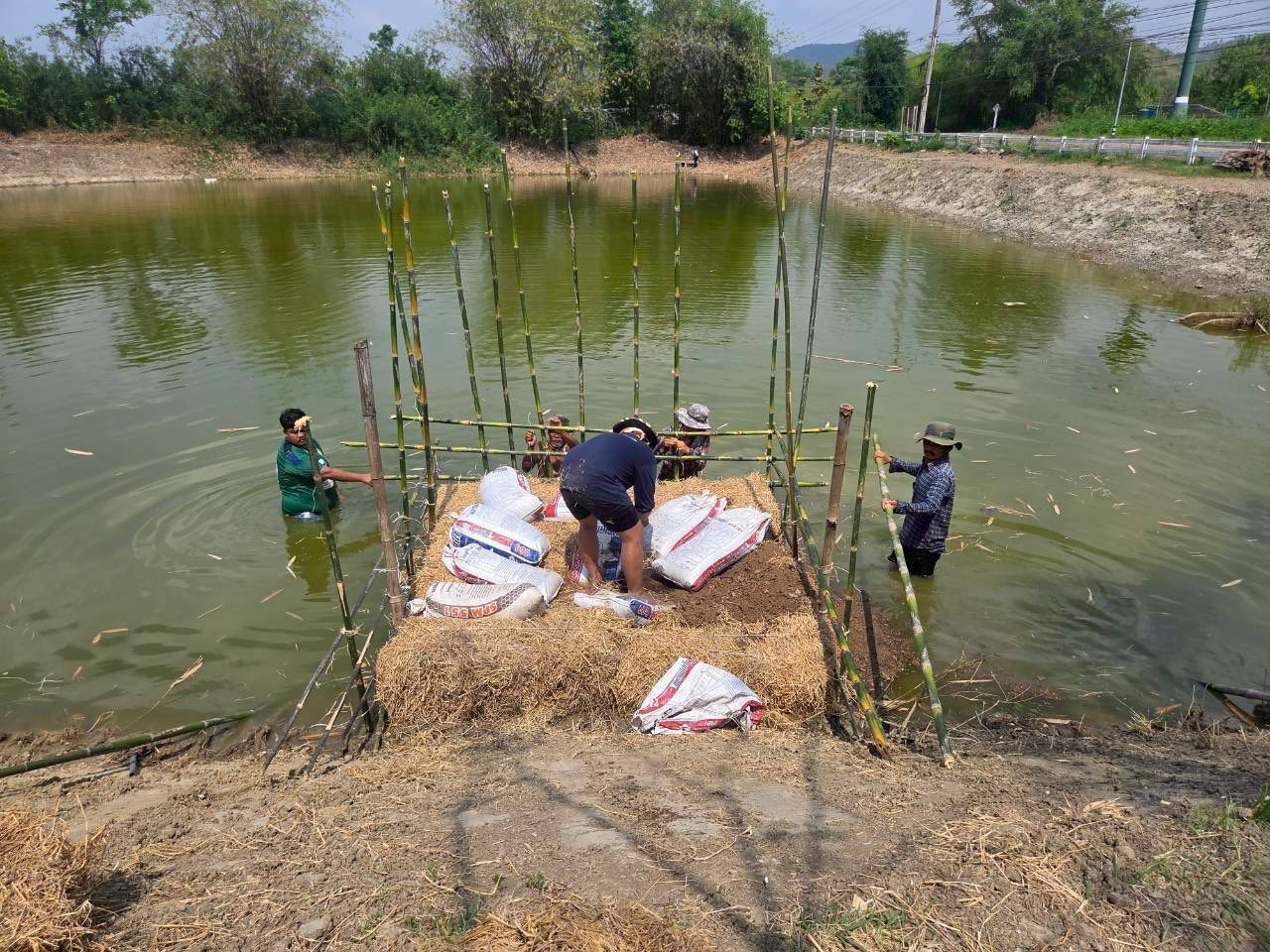 รูป ประกอบบทความ23