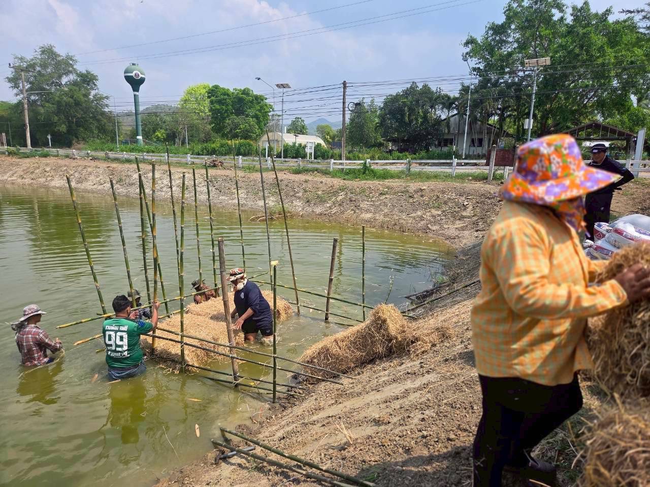 รูป ประกอบบทความ11