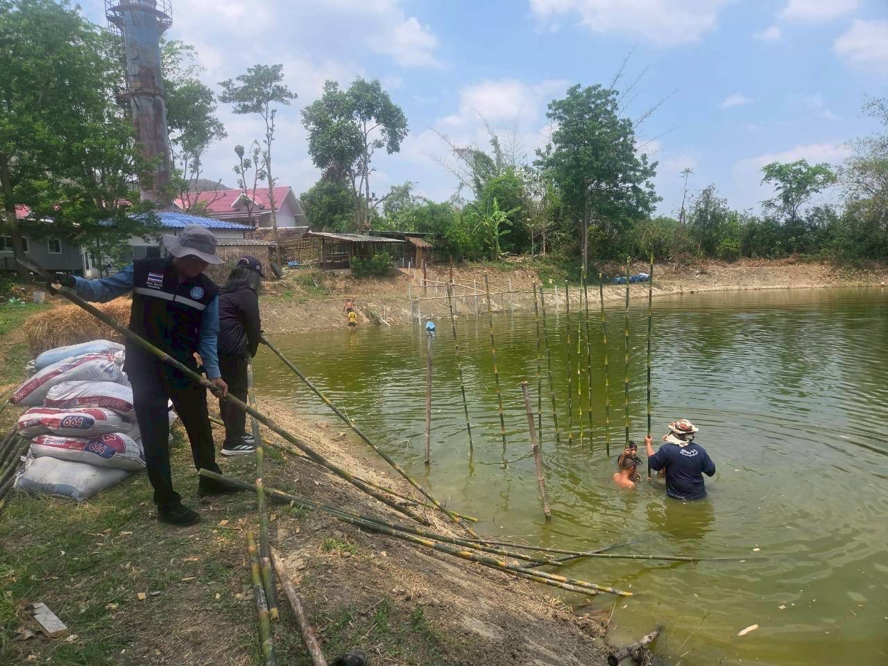 รูป ประกอบบทความ10