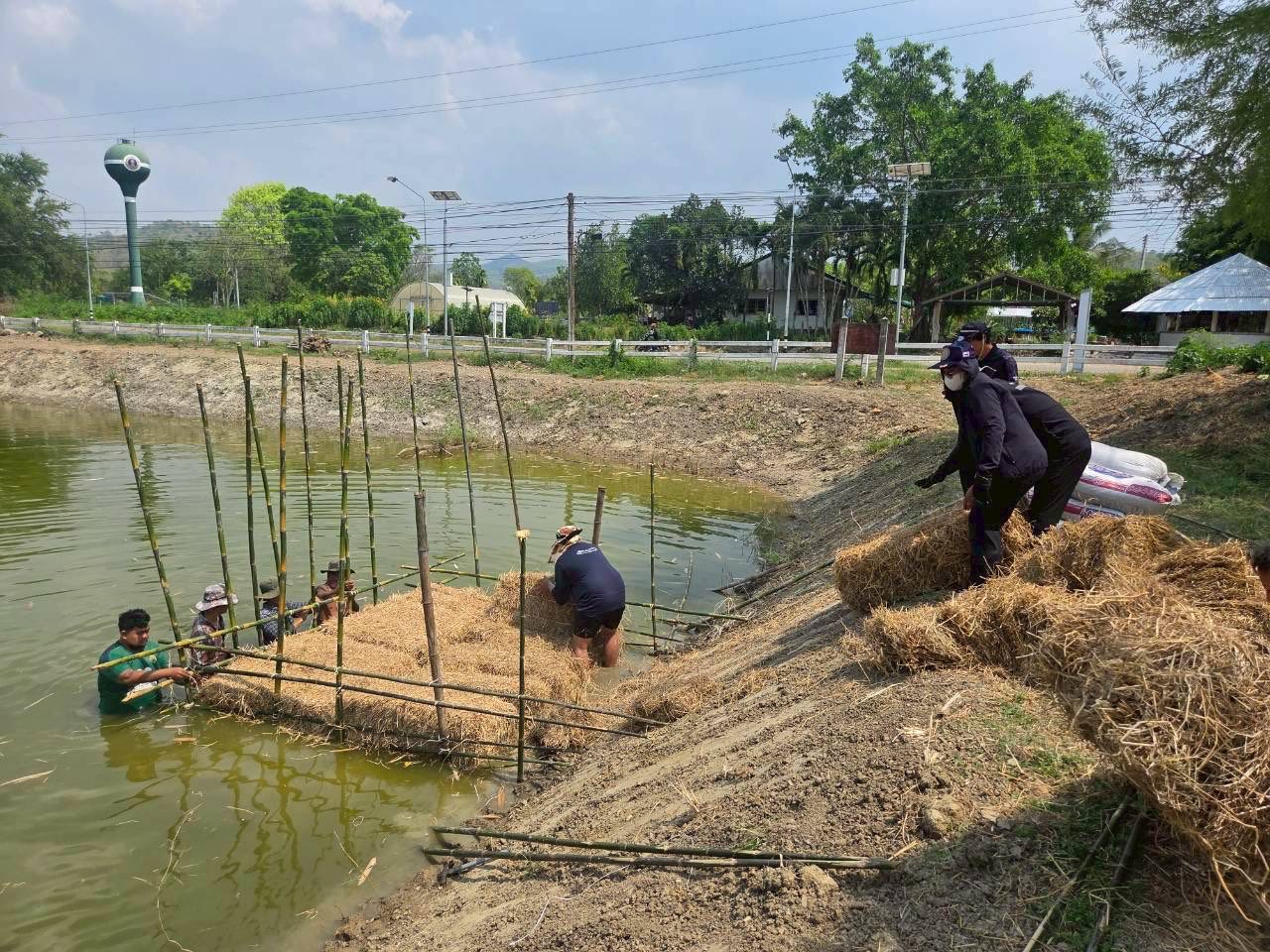 รูป ประกอบบทความ12