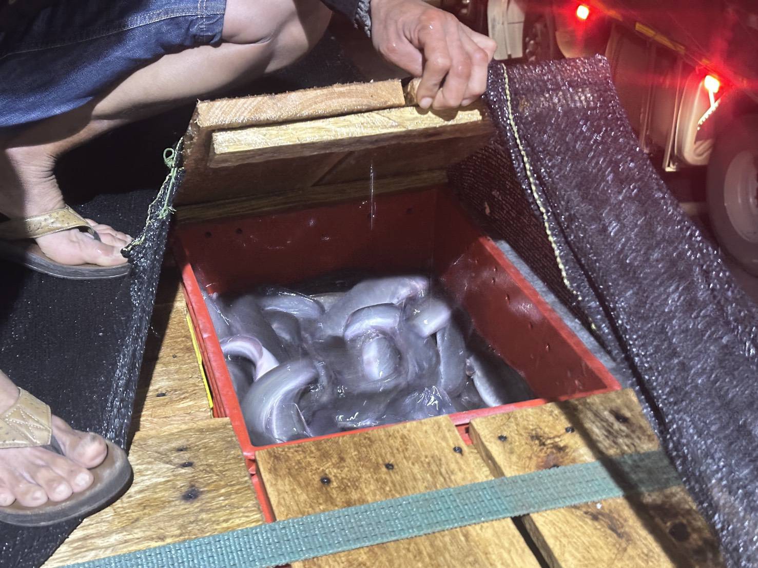 ข่าวกิจกรรม วันที่ 24 มีนาคม 2569 เจ้าหน้าที่ด่านตรวจประมงนครพนม ตรวจสอบสินค้าสัตว์น้ำส่งออกชนิด ปลาดุกแอฟริกา มีชีวิต ณ อาคารตรวจสอบสินค้าและเก็บของกลางด่านศุลกากรนครพนม จ.นครพนม 