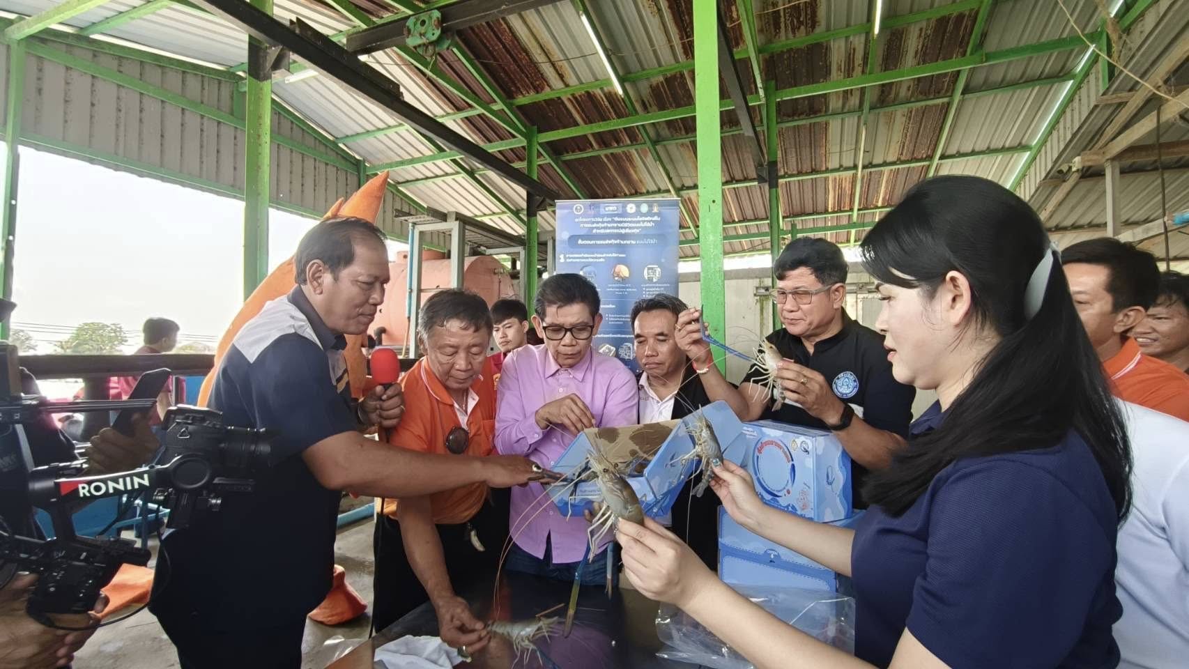 ร่วมจัดกิจกรรมแถลงข่าวและถ่ายทอดองค์ความรู้เกี่ยวกับนวัตกรรม “การขนส่งกุ้งก้ามกรามแบบมีชีวิตโดยไม่ใช้น้ำ”..คลิก