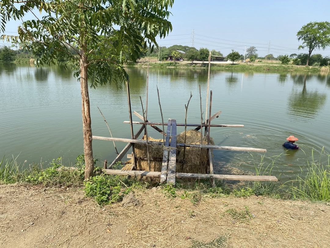 ลงพื้นที่เติมวัสดุอาหารธรรมชาติ ครั้งที่ 1..คลิก