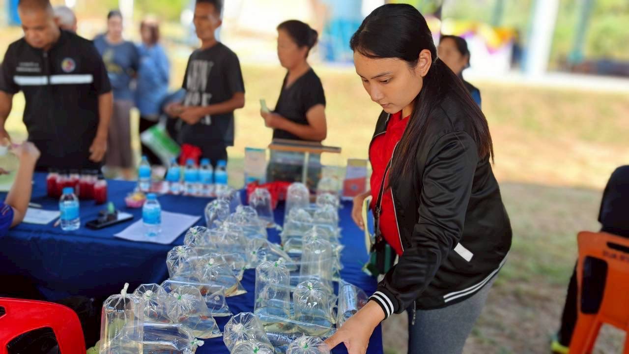 รูป ประกอบบทความ19