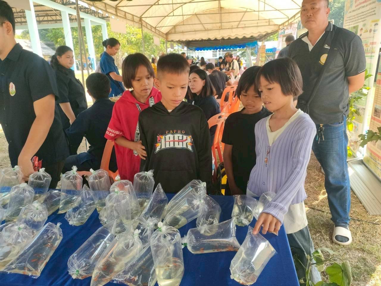 รูป ประกอบบทความ9