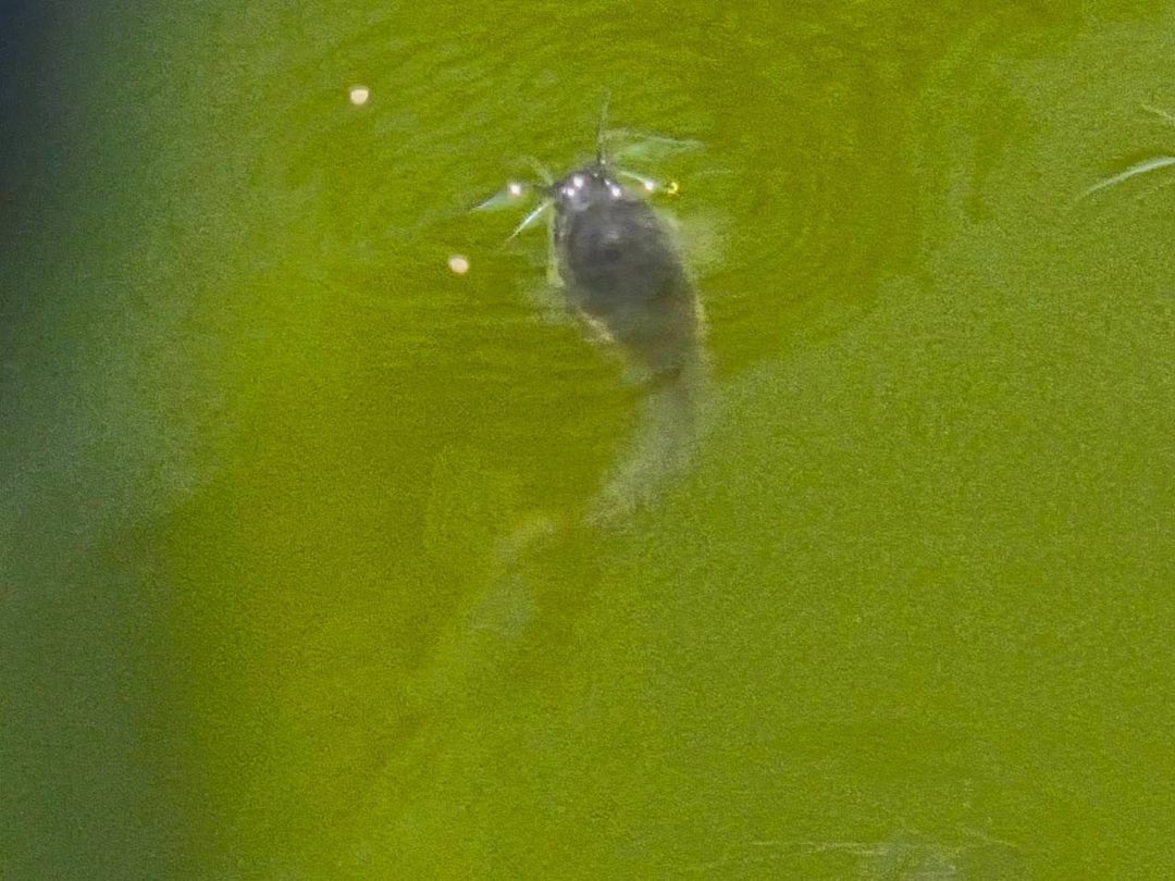 รูป ประกอบบทความ3