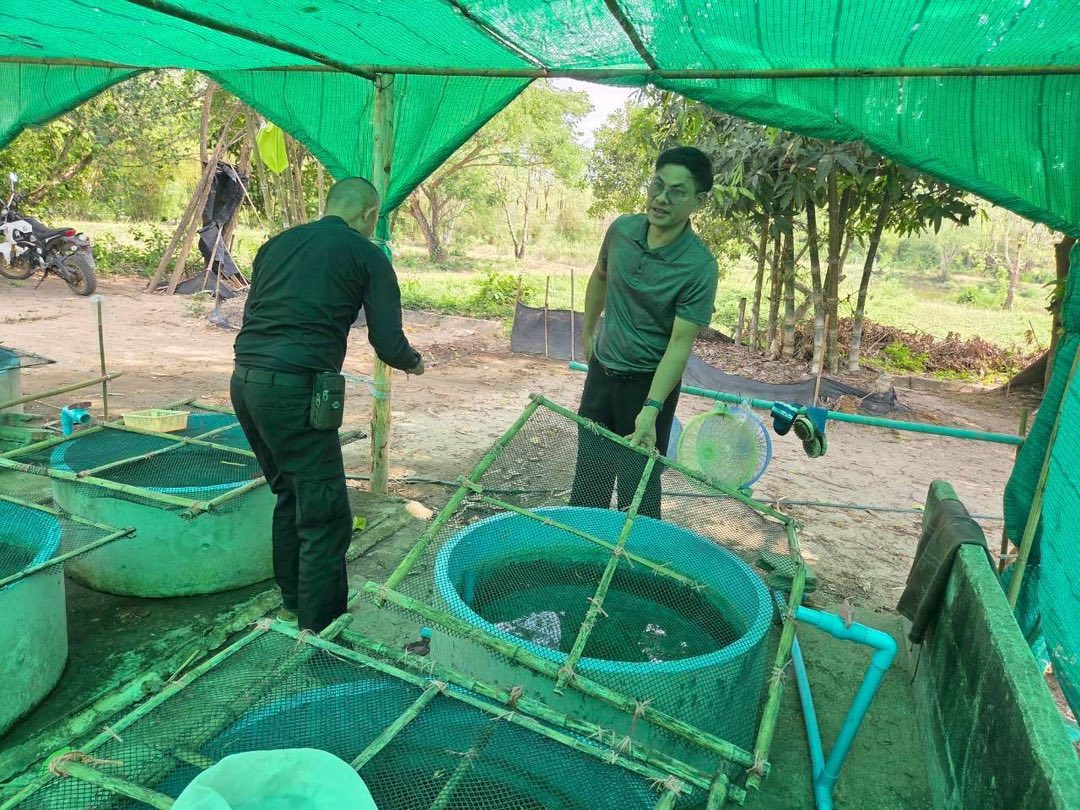 รูป ประกอบบทความ7