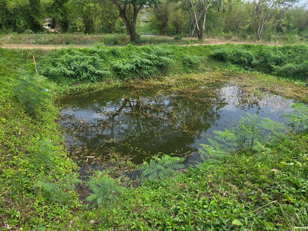  ลงพื้นที่ฟาร์มตัวอย่างในสมเด็