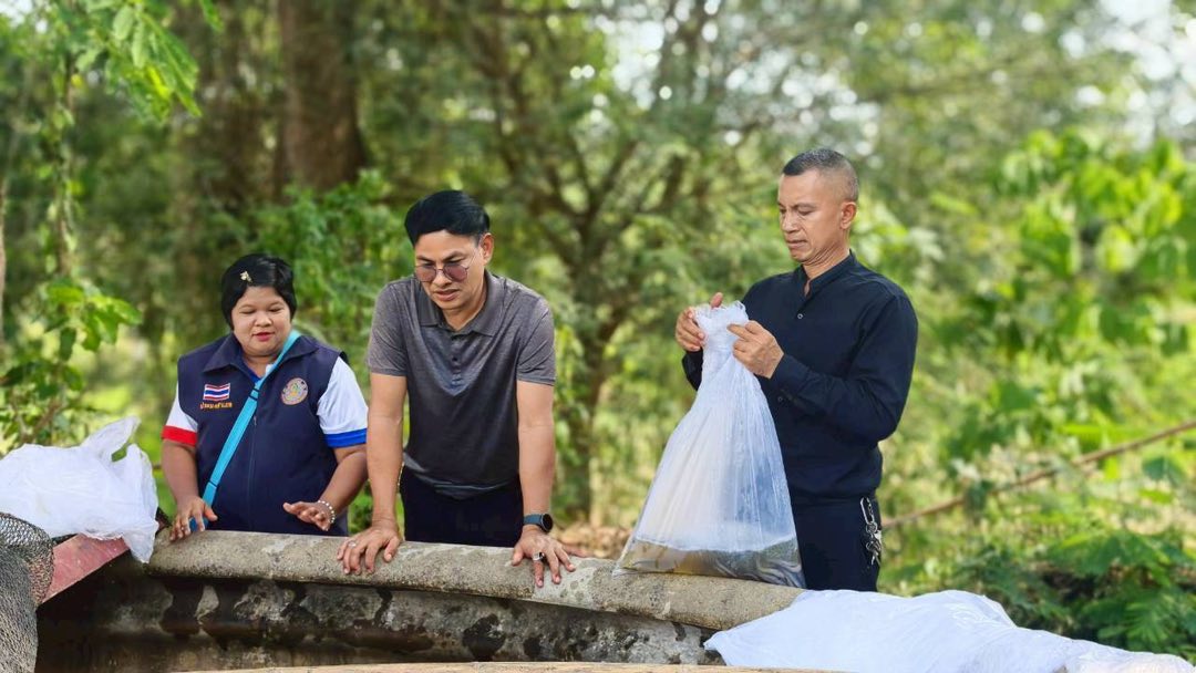 รูป ประกอบบทความ12