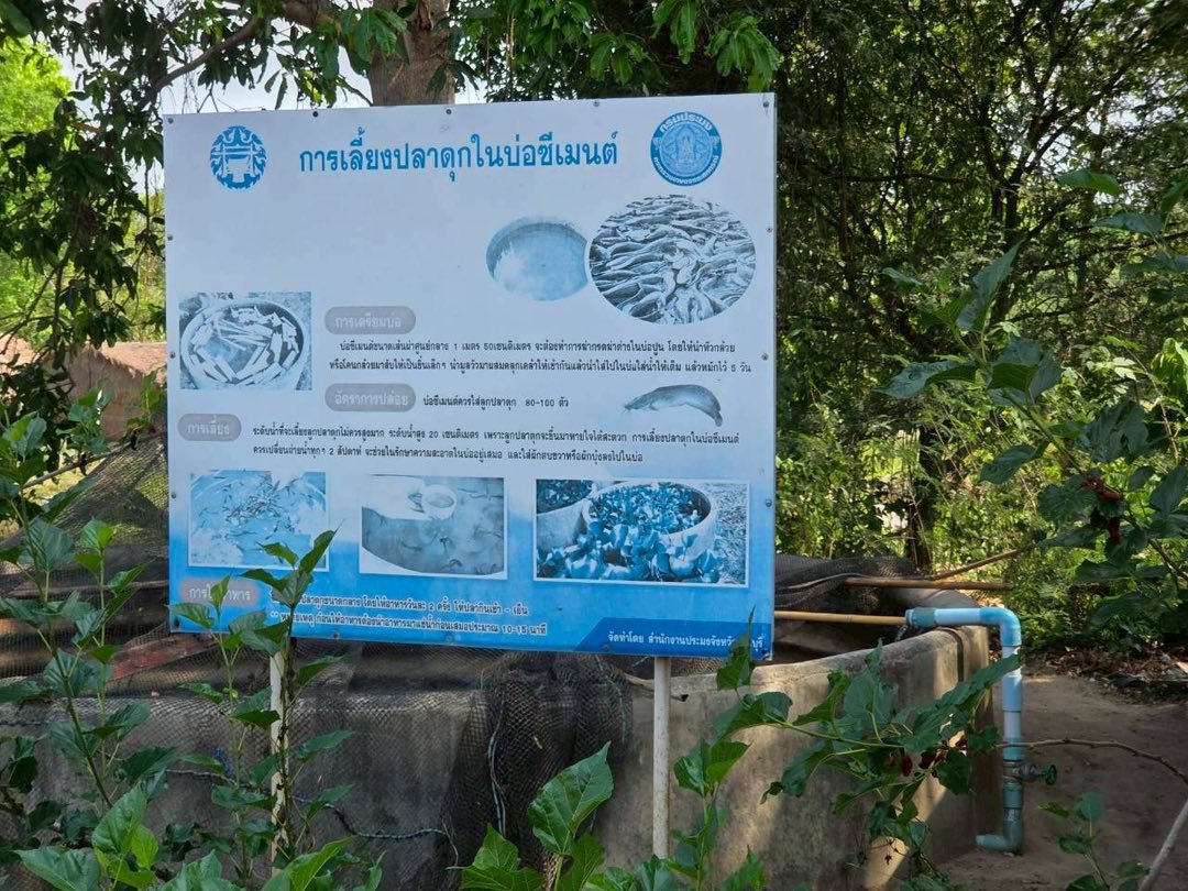 รูป ประกอบบทความ5