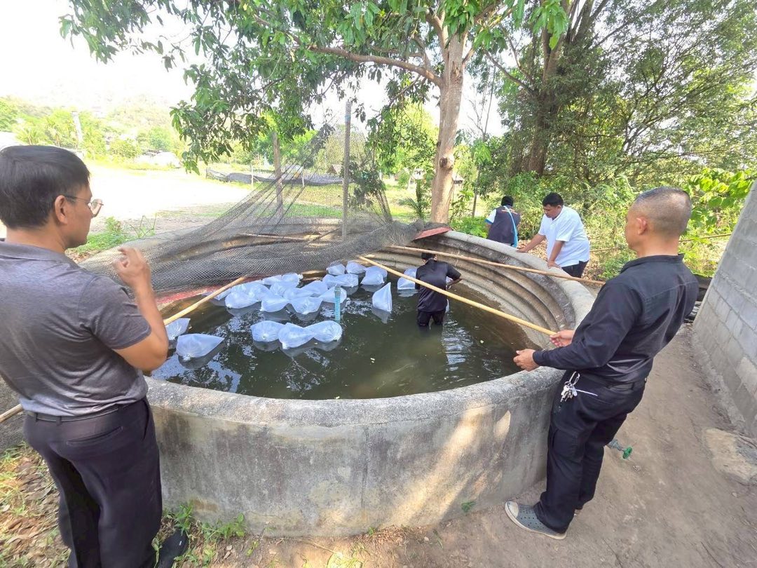 รูป ประกอบบทความ8