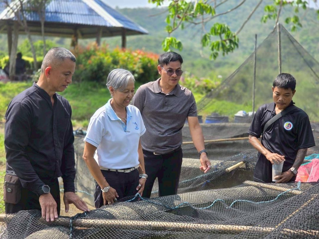 รูป ประกอบบทความ11