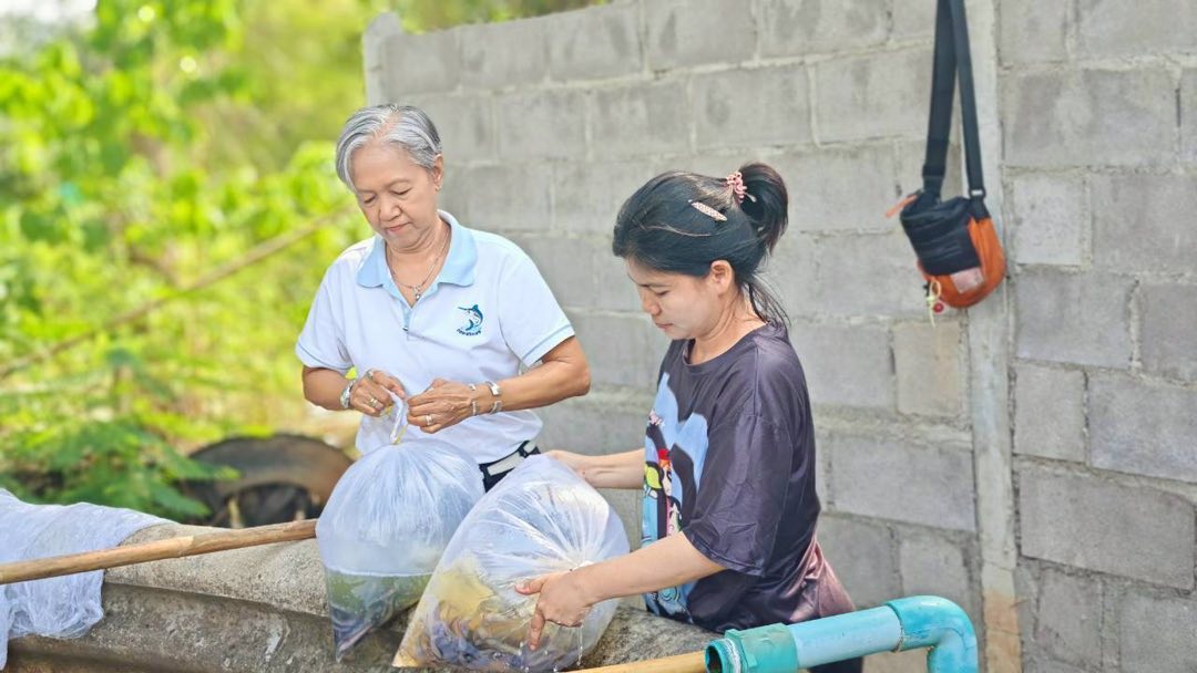 รูป ประกอบบทความ9