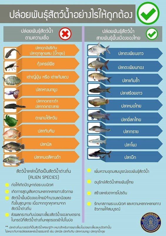 ปล่อยพันธุ์สัตว์น้ำอย่างไรให้ถูกต้อง
