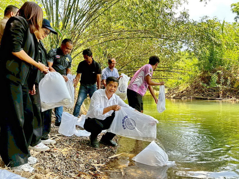 รูป ประกอบบทความ7