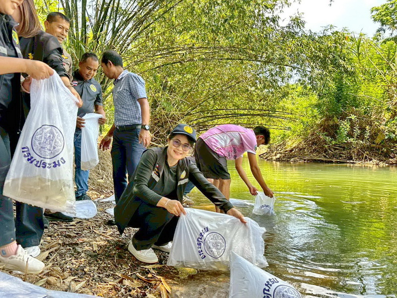 รูป ประกอบบทความ8