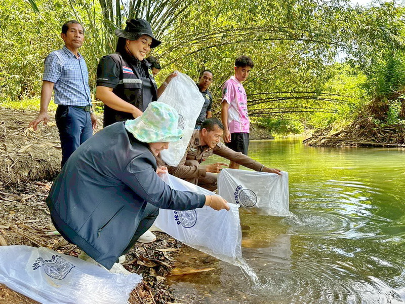 สนับสนุนพันธุ์ปลากินพืช เพื่อปล่อยลงสู่คลองบ้านคู อ.กงหรา จ.พัทลุง