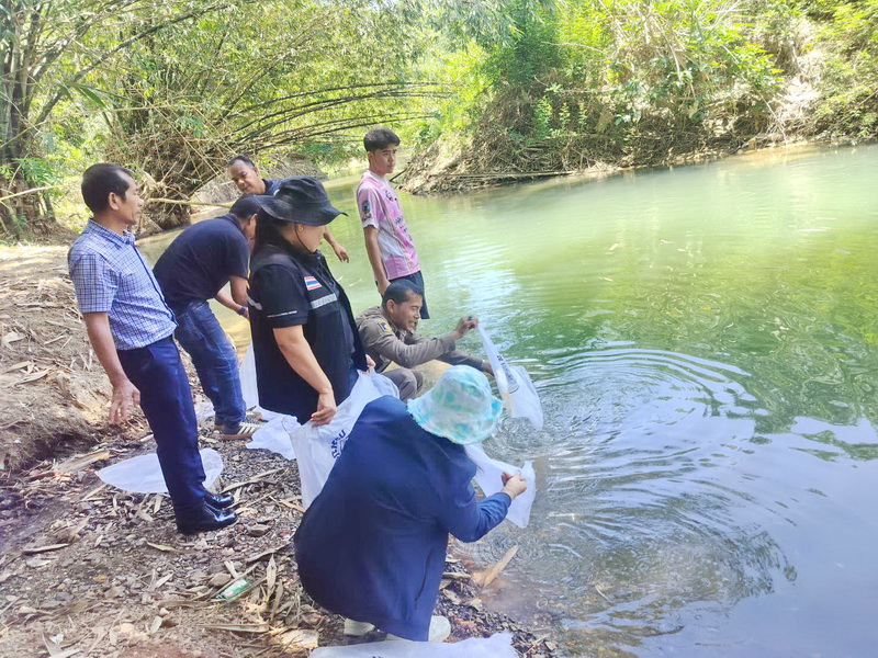 รูป ประกอบบทความ6