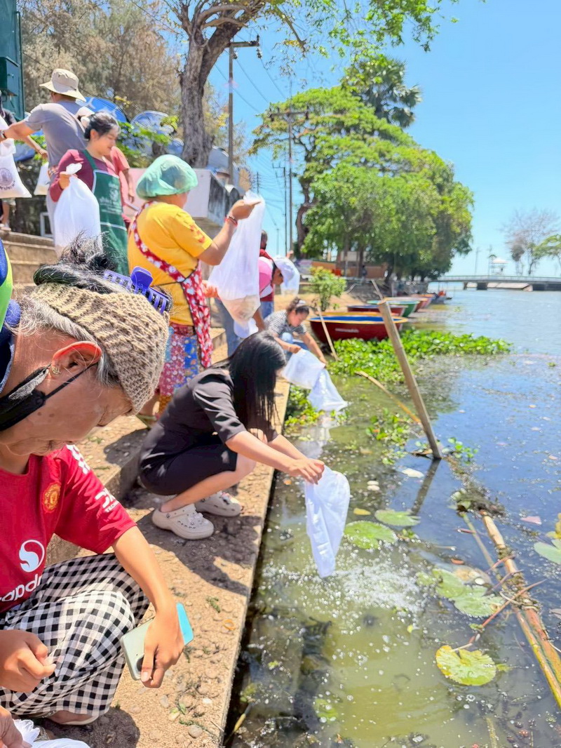 รูป ประกอบบทความ2