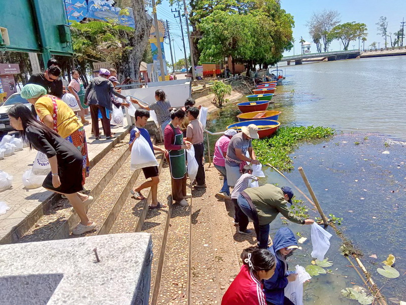 ร่วมปล่อยพันธุ์ปลาพรมหัวเหม็น ลงคลองลำปำ อ.เมือง จ.พัทลุง