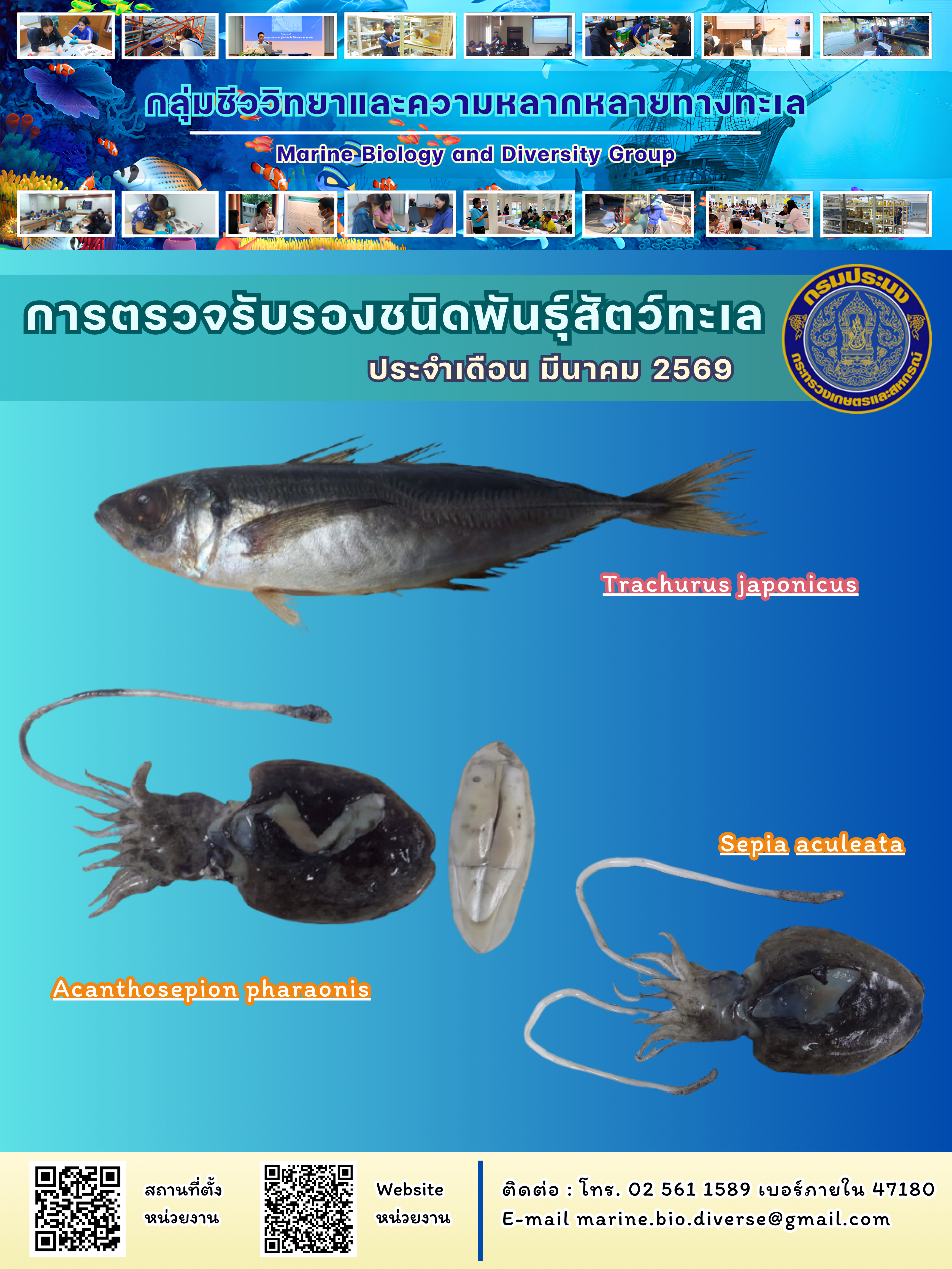 สรุปข้อมูลตรวจรับรองชนิดพันธุ์สัตว์ทะเล ประจำปี 2569 เดือนมีนาคม..คลิก