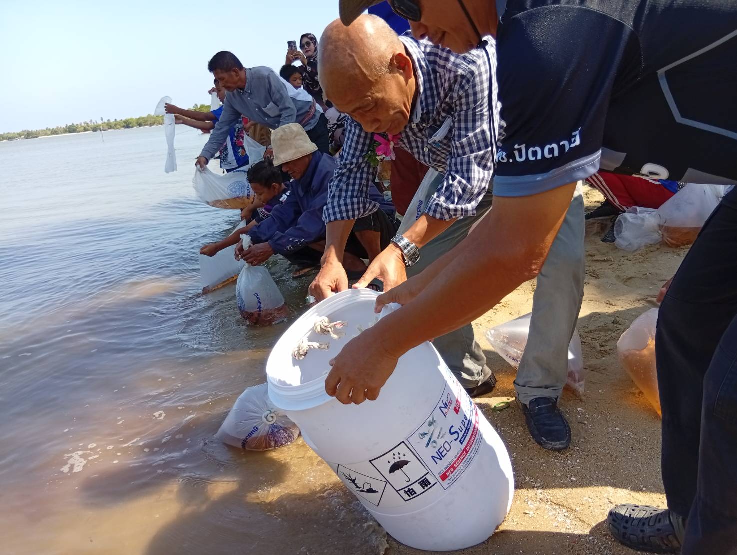 กิจกรรมปล่อยพันธุ์กุ้งกุลาดำ จำนวน 200,000 ตัว  บริเวณอ่าวปัตตานี บ้านบูดี ม.1 ต.แหลมโพธิ์ อ.ยะหริ่ง จ.ปัตตานี