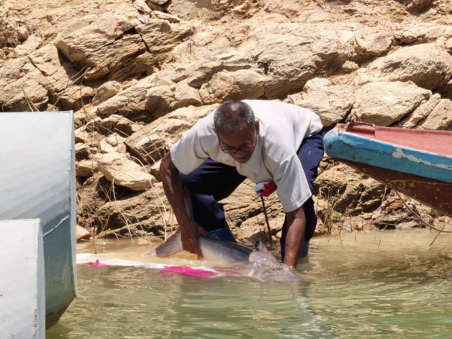 ร่วมปล่อยพันธ์สัตว์น้ำจืด ในพื้นที่เขื่อนบางลาง 