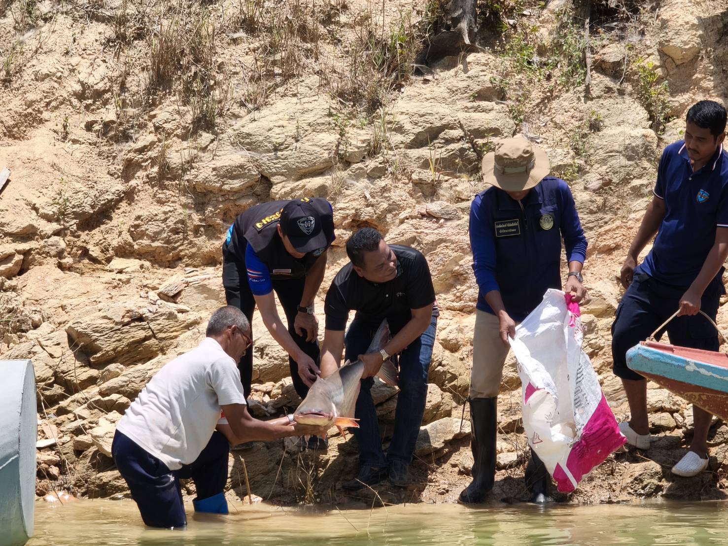 ร่วมปล่อยพันธ์สัตว์น้ำจืด ในพื้นที่เขื่อนบางลาง 