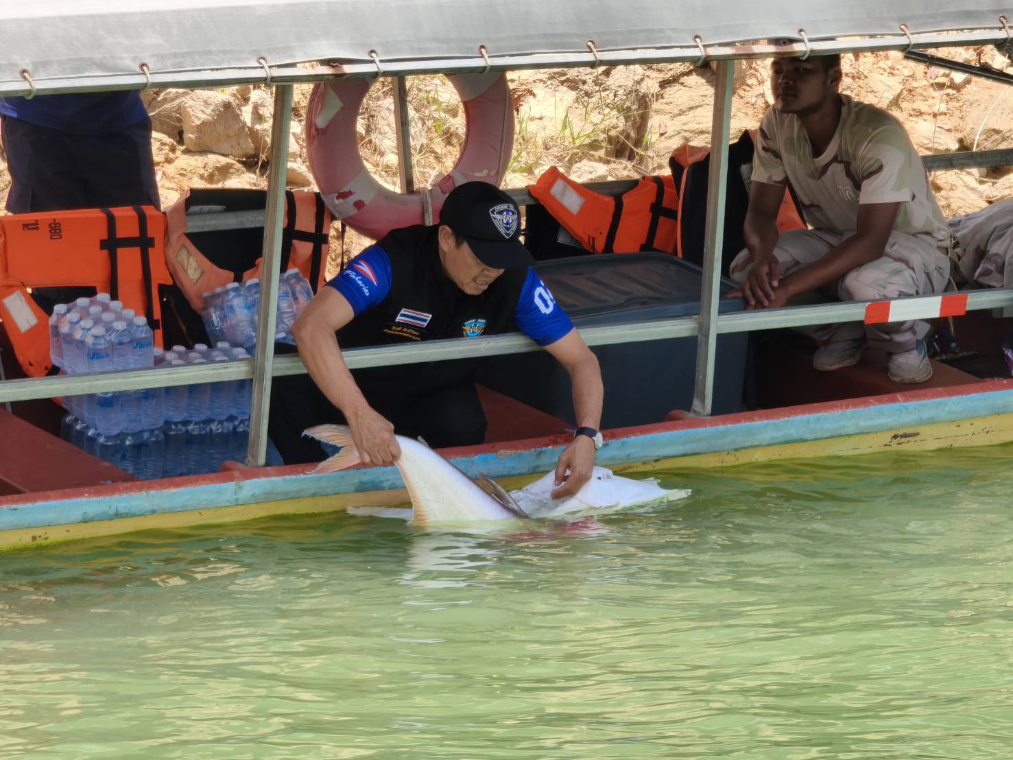 ร่วมปล่อยพันธ์สัตว์น้ำจืด ในพื้นที่เขื่อนบางลาง..คลิก