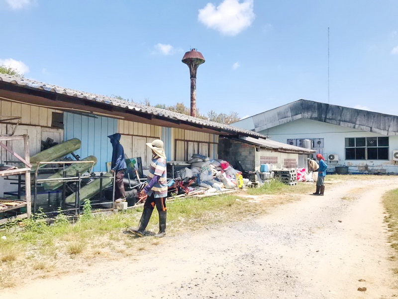 จัดกิจกรรม Big Cleaning Day