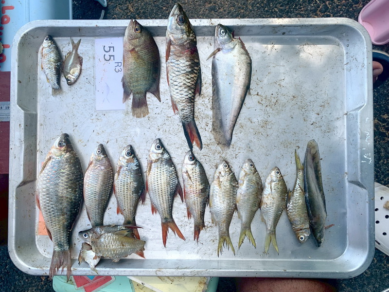 เก็บข้อมูลการดำเนินการตามแผนอนุรักษ์และพัฒนาสิ่งแวดล้อม จังหวัดนครศรีธรรมราช