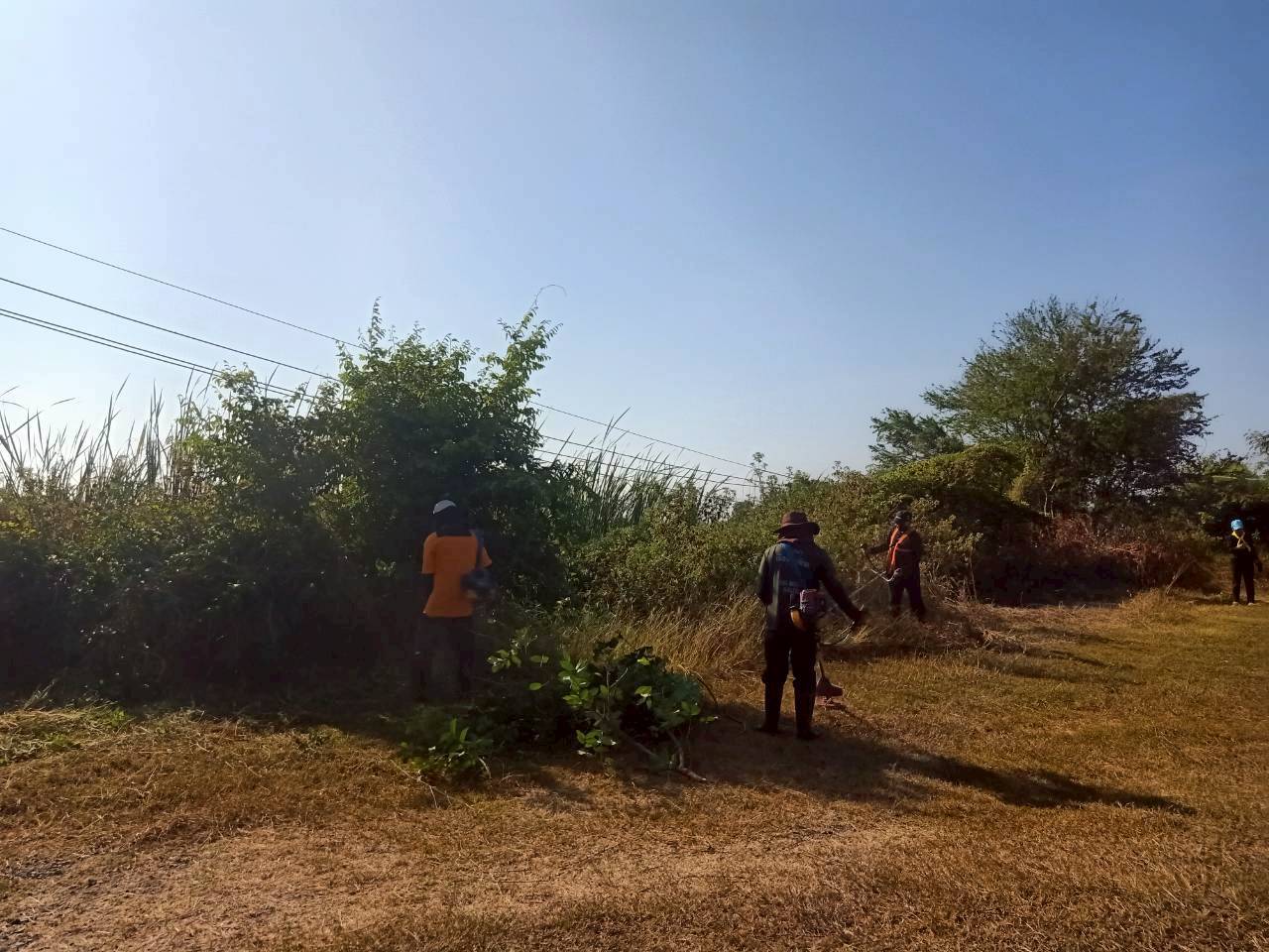 วันอังคารที่ 30 ธันวาคม 2568 ศพก.บุรีรัมย์ จัดกิจกรรมอาสาพัฒนา