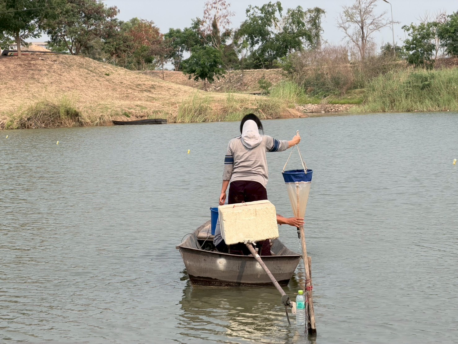 เจ้าหน้าที่จากกลุ่มวิจัยการจัดการประมงน้ำจืดได้ออกปฏิบัติงานภาคสนามเพื่อเก็บรวบรวมตัวอย่างสำหรับตรวจสอบระยะการเจริญพันธุ์ ค่าดัชนีความสมบูรณ์เพศและวิเคราะห์ การกระจายขนาดความยาวของปลาซึ่งเป็นข้อมูลสำคัญในการวิเคราะห์และกำหนดช่วงเวลาการวางไข่ของปลาน้ำจืด