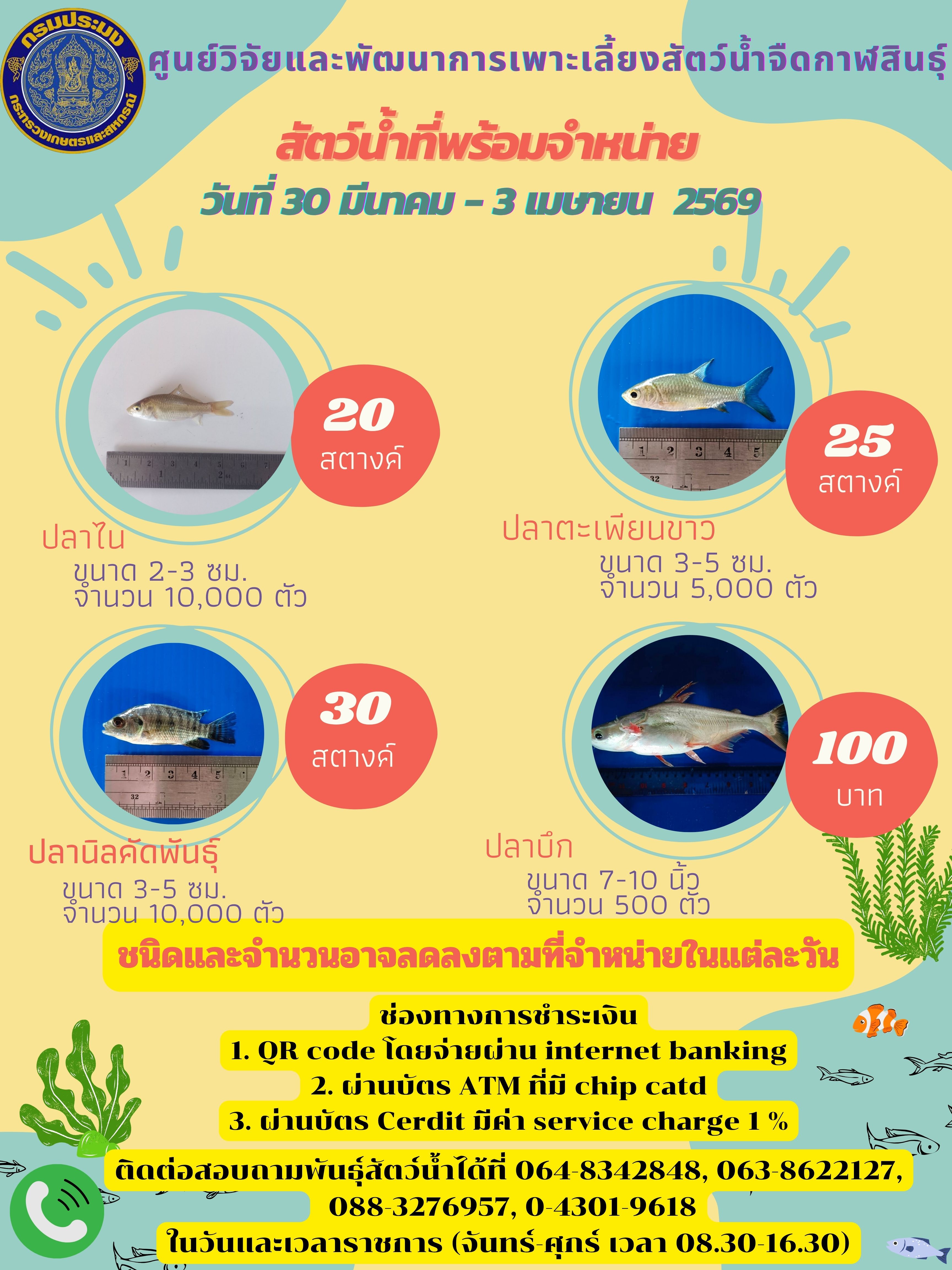 สัตว์น้ำที่พร้อมจำหน่าย..คลิก