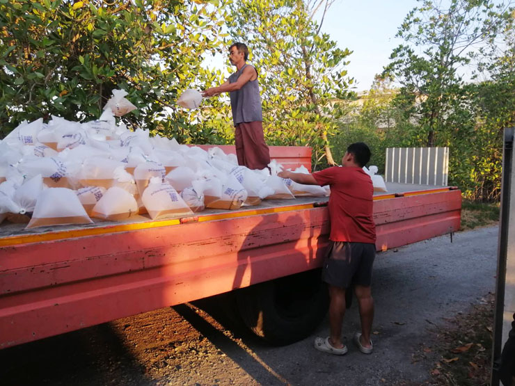 ผอ.ศพช.ฉะเชิงเทรา พร้อมด้วยข้าราชการและเจ้าหน้าที่ เข้าร่วมกิจกรรมปล่อยลูกพันธุ์กุ้งแชบ๊วย “โครงการคืนชีวิตสัตว์น้ำลงสู่แม่น้ำบางปะกง และคูคลองสาธารณะ ประจำปี ๒๕๖๙” ครั้งที่ ๑/๒๕๖๙ ณ แม่น้ำบางปะกง บริเวณริมเขื่อนโรงไฟฟ้าบางปะกง หมู่ที่ ๖ ตำบลท่าข้าม อำเภอบางปะกง จังหวัดฉะเชิงเทรา