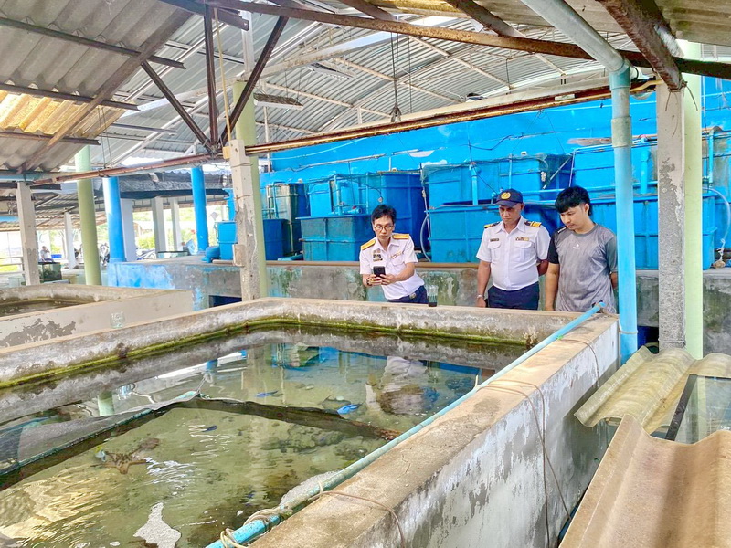 เข้าเยี่ยมชมการเพาะเลี้ยงสัตว์น้ำของศูนย์วิจัยและพัฒนาการเพาะเลี้ยงสัตว์น้ำชายฝั่งกระบี่