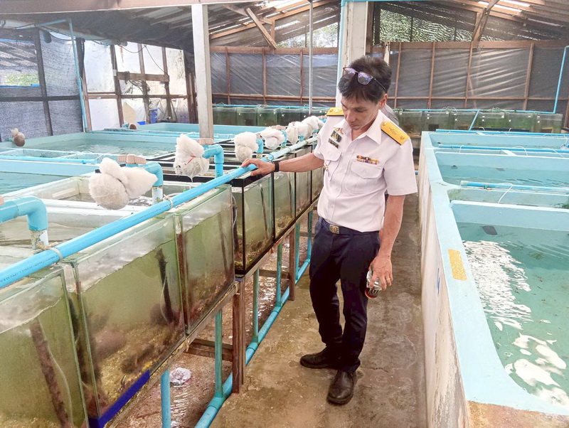 เข้าเยี่ยมชมการเพาะเลี้ยงสัตว์น้ำของศูนย์วิจัยและพัฒนาการเพาะเลี้ยงสัตว์น้ำชายฝั่งกระบี่