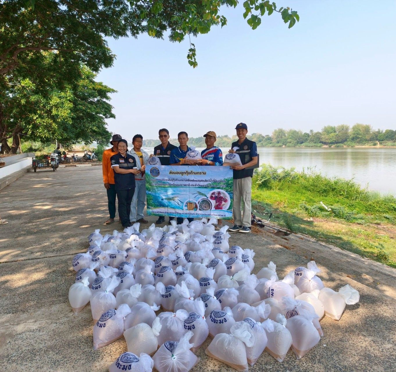 ประมงอุบลราชธานี ส่งมอบพันธุ์กุ้งก้ามกรามและร่วมปล่อยพันกุ้งก้ามกราม ในแม่น้ำมูล อำเภอวารินชำราบ  จังหวัดอุบลราชธานี..คลิก