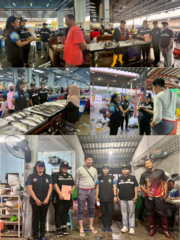เมื่อวันที่ 31 มีนาคม 2569 เวลา 05.00 น. นางเสาวนีย์ สาลีโท หัวหน้าด่านตรวจประมงปัตตานี พร้อมด้วยเจ้าหน้าที่ด่านตรวจประมงปัตตานี ได้ดำเนินการลงพื้นที่ตรวจติดตาม ศึกษา และพัฒนาระบบตลาดปลากะพง