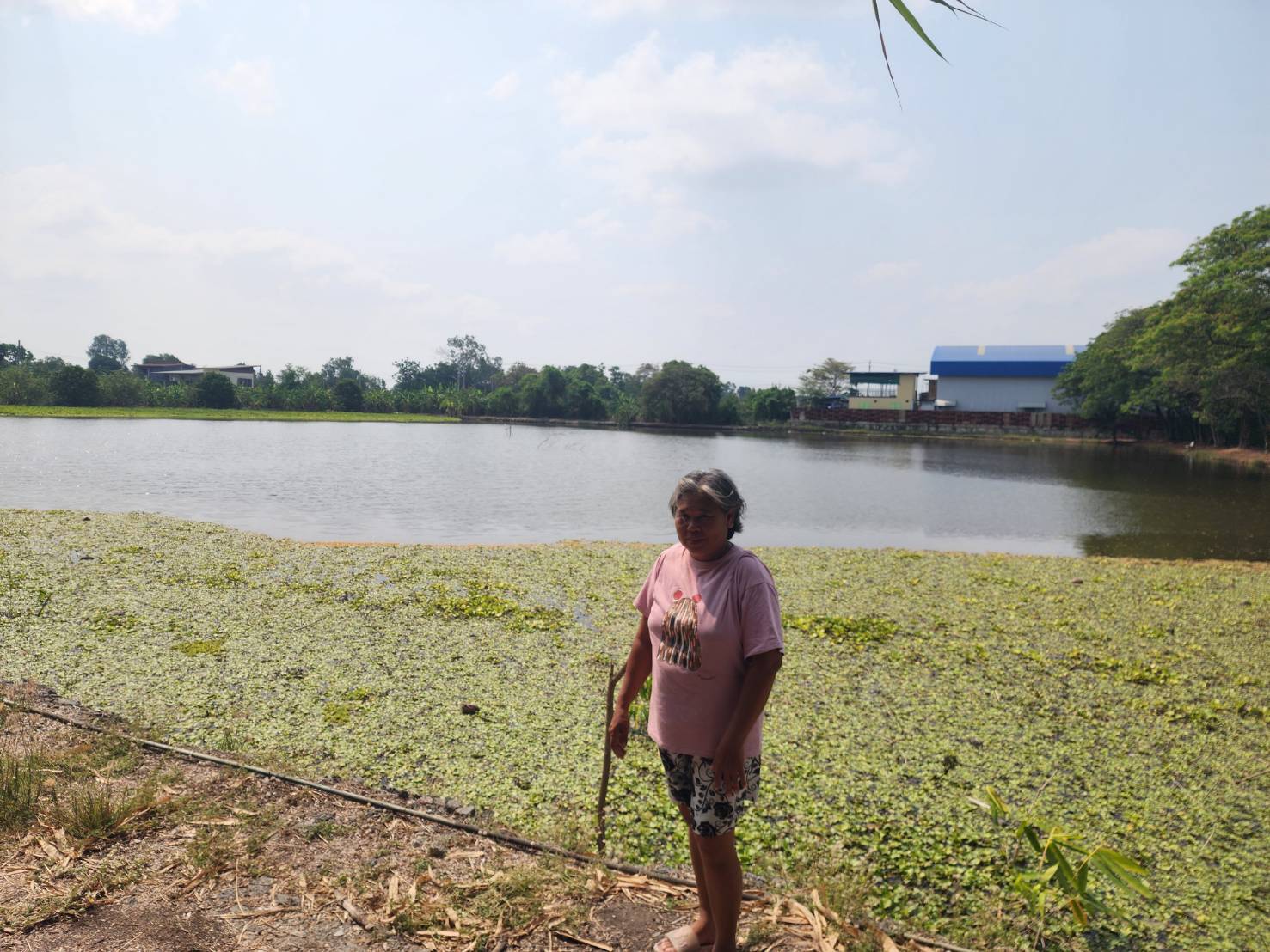 (อ.ไทรน้อย) ขึ้นทะเบียนผู้เพาะเลี้ยงสัตว์น้ำ ทบ.1 รายใหม่