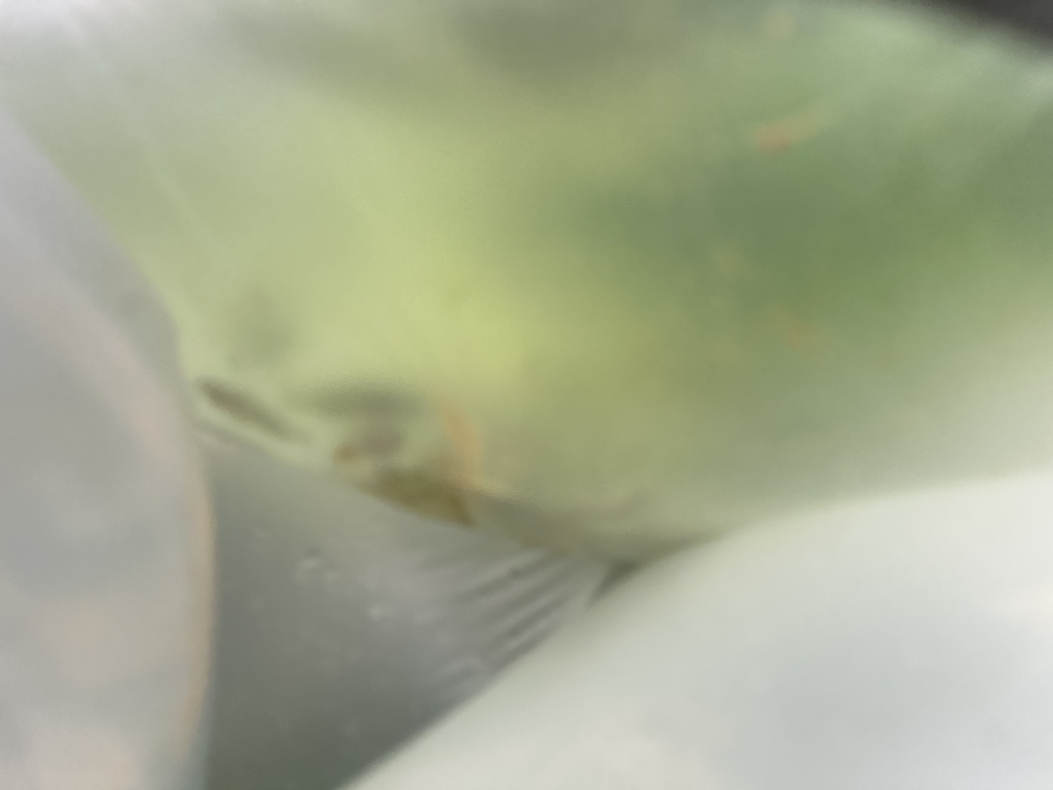 1 เมษายน 2569 ตรวจสอบสินค้าประมงส่งออกไปยังแขวงสะหวันนะเขต สปป. ณ สะพานมิตรภาพไทย - ลาว แห่งที่ 2