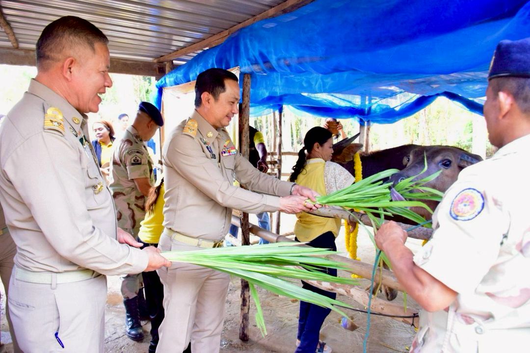 ประมงอำเภอชุมแสง ร่วมพิธีมอบกระบือพระราชทาน ณ บ้านนางสาวบุญสม หน่วยเท้ง บ้านเลขที่ 185/1 หมู่ที่ 3 ตำบลทับกฤชใต้ อำเภอชุมแสง จังหวัดนครสวรรค์
