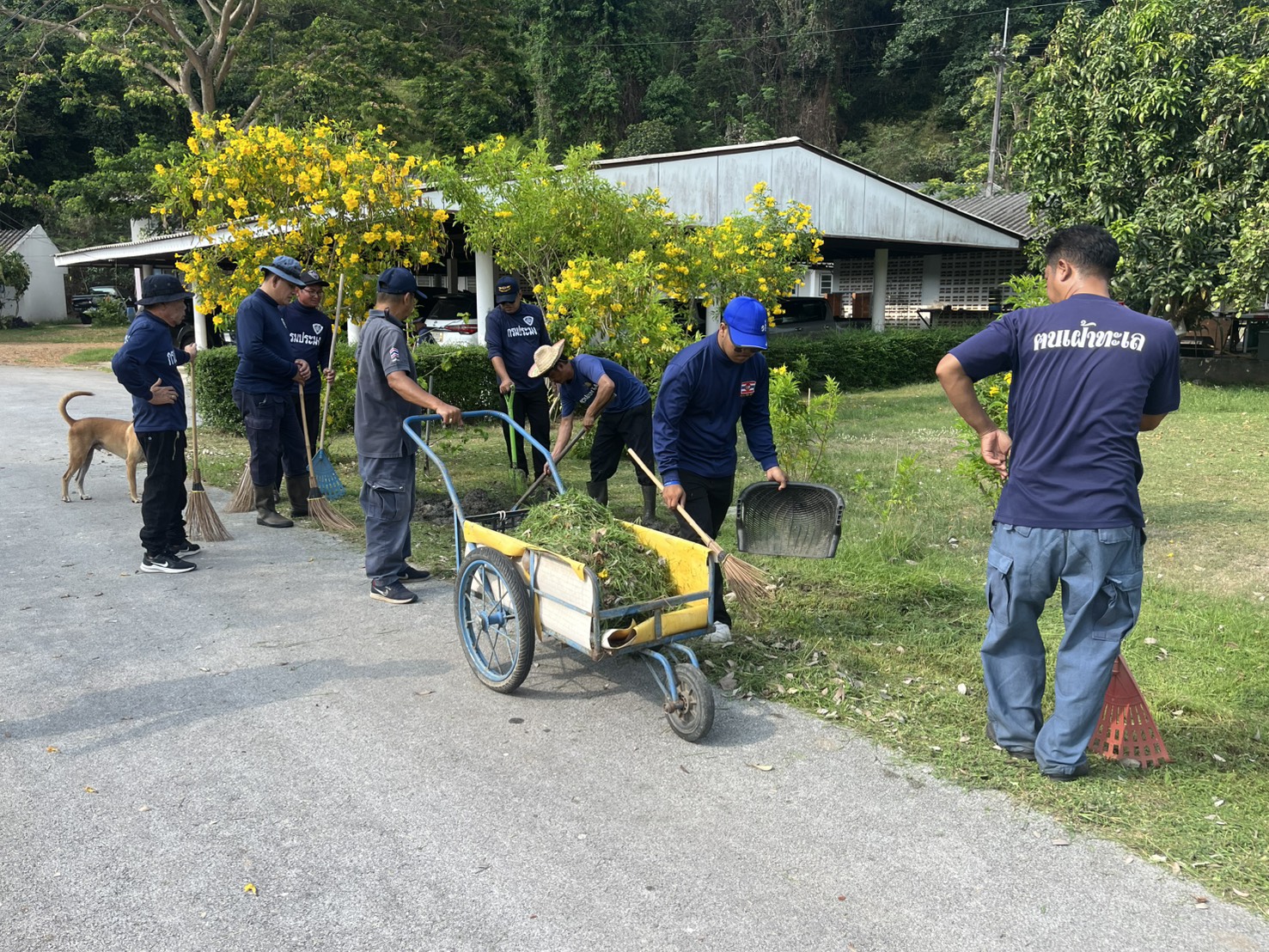 ดำเนินกิจกรรมปรับปรุงภูมิทัศน์บริเวณอาคารสำนักงาน